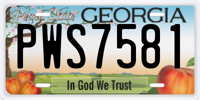 GA license plate PWS7581