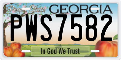 GA license plate PWS7582