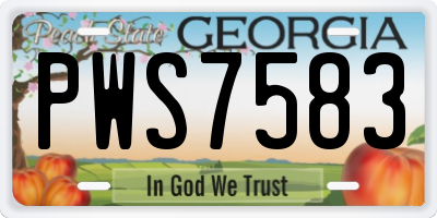 GA license plate PWS7583