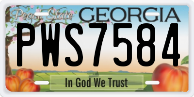 GA license plate PWS7584