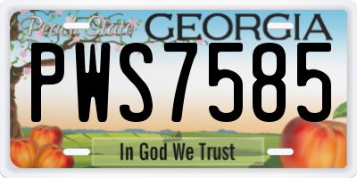 GA license plate PWS7585