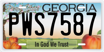 GA license plate PWS7587
