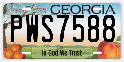GA license plate PWS7588