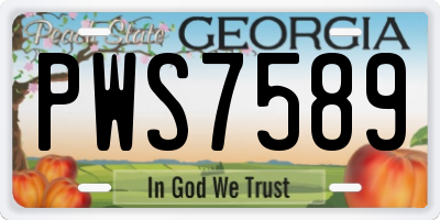 GA license plate PWS7589