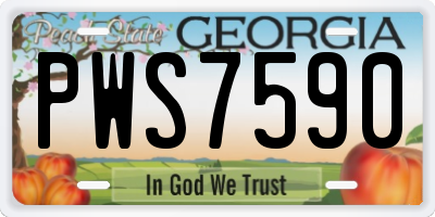 GA license plate PWS7590