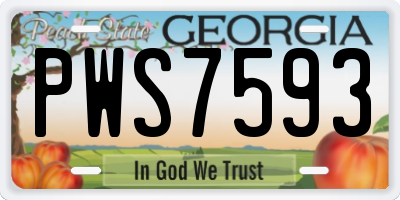 GA license plate PWS7593