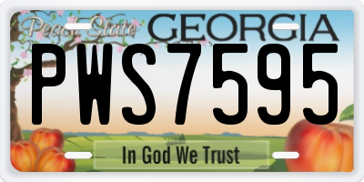 GA license plate PWS7595