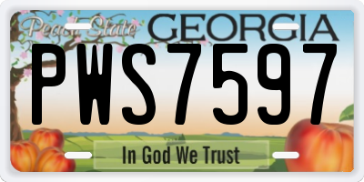 GA license plate PWS7597