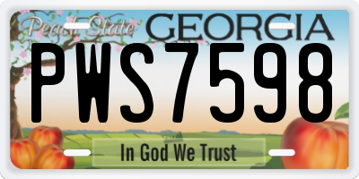GA license plate PWS7598