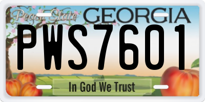 GA license plate PWS7601