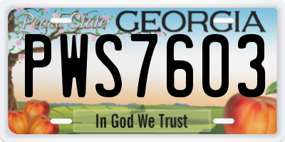 GA license plate PWS7603