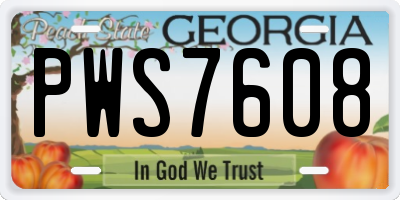 GA license plate PWS7608