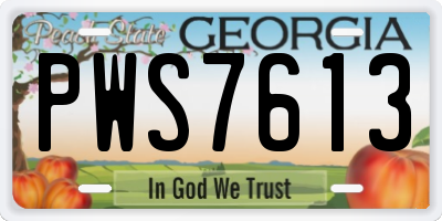 GA license plate PWS7613