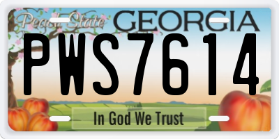 GA license plate PWS7614