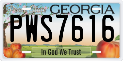 GA license plate PWS7616