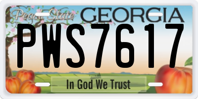 GA license plate PWS7617