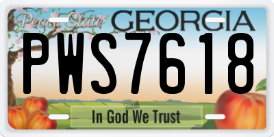 GA license plate PWS7618