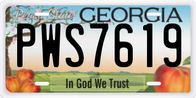 GA license plate PWS7619