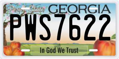 GA license plate PWS7622