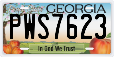 GA license plate PWS7623