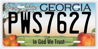 GA license plate PWS7627