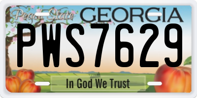 GA license plate PWS7629