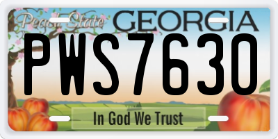 GA license plate PWS7630