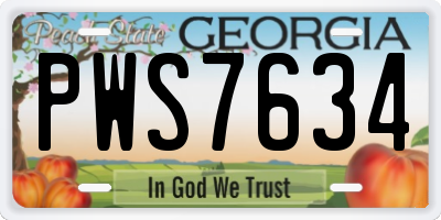GA license plate PWS7634