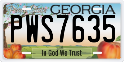 GA license plate PWS7635