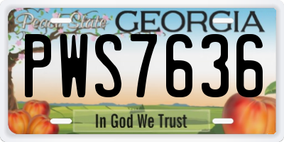 GA license plate PWS7636