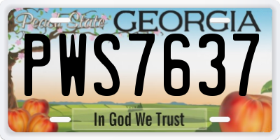 GA license plate PWS7637