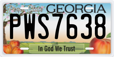 GA license plate PWS7638