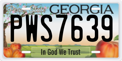 GA license plate PWS7639