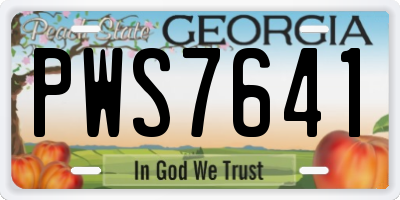 GA license plate PWS7641