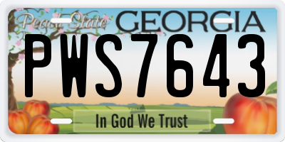 GA license plate PWS7643