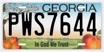 GA license plate PWS7644
