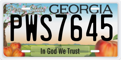 GA license plate PWS7645