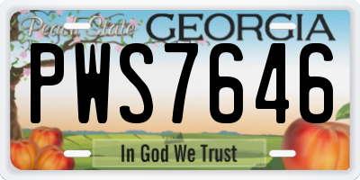 GA license plate PWS7646