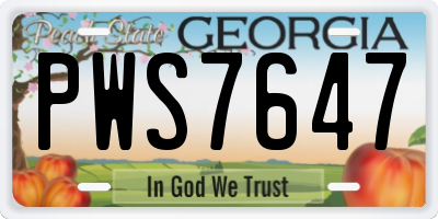 GA license plate PWS7647