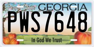 GA license plate PWS7648