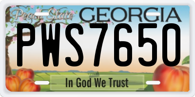 GA license plate PWS7650