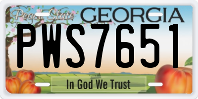 GA license plate PWS7651