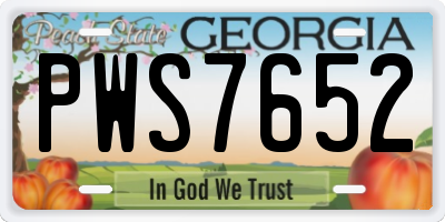 GA license plate PWS7652