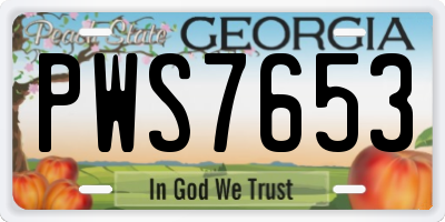 GA license plate PWS7653
