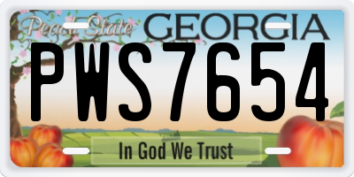 GA license plate PWS7654