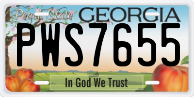 GA license plate PWS7655