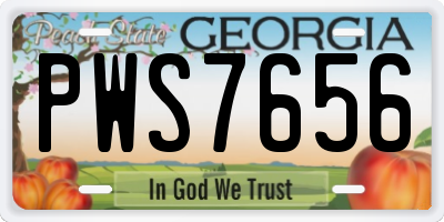 GA license plate PWS7656