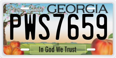 GA license plate PWS7659