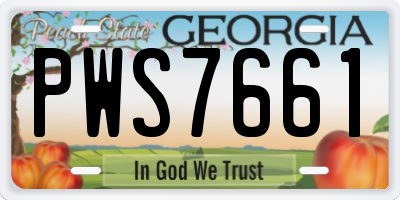 GA license plate PWS7661