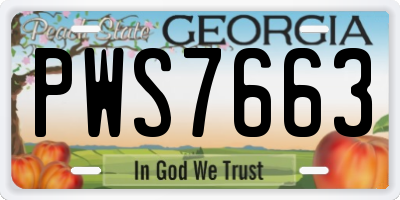 GA license plate PWS7663